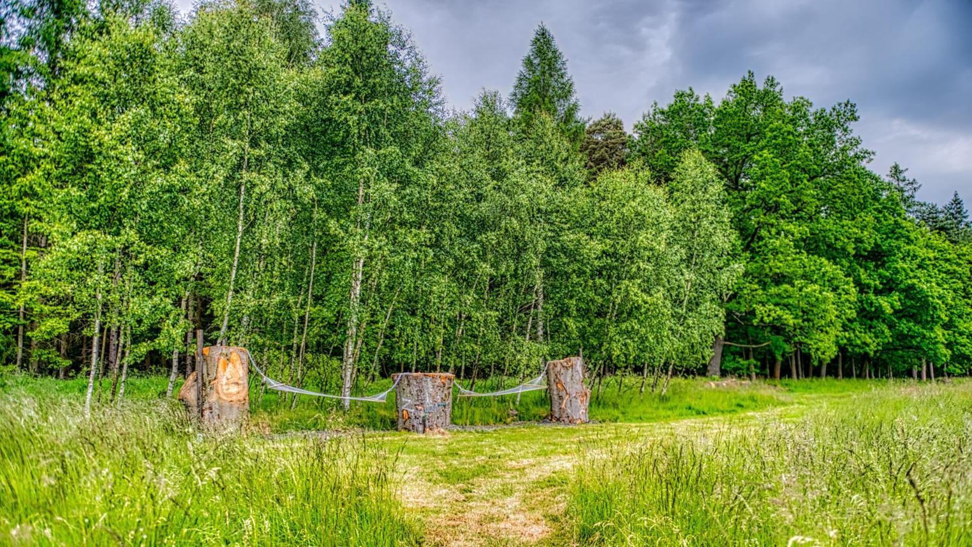 Izerska Baza - Basen, Ebike, Narty, Sauna, Jacuzzi, Las Blisko Swieradow Zdroj - 5D Apartamenty Giebultow  Eksteriør bilde